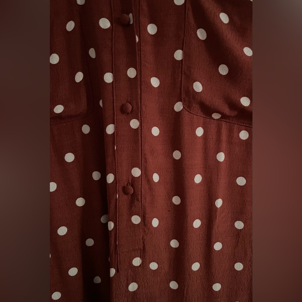 NWOT: Uterqüe Brown Midi-Dress with Polkadots - Picture 10 of 12